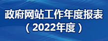 网站工作年报2022